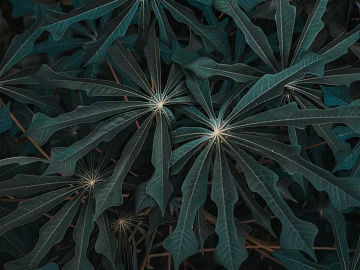 Plant painting texture (ID:ffabg73807)