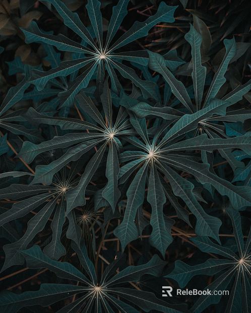 Plant painting texture