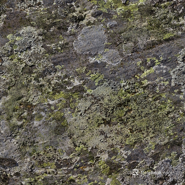 moss texture