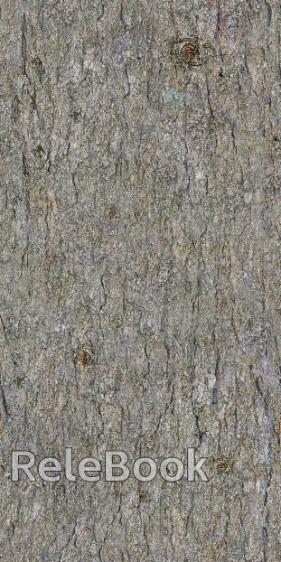 bark texture