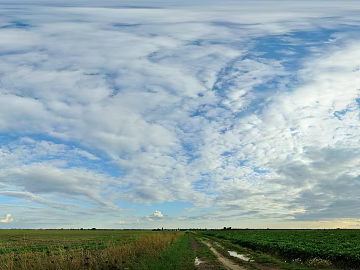 daytime sky texture (ID:ffabf2475)