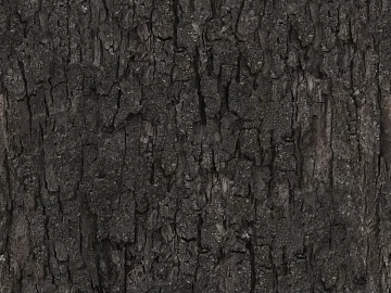 bark texture (ID:ffach240136)