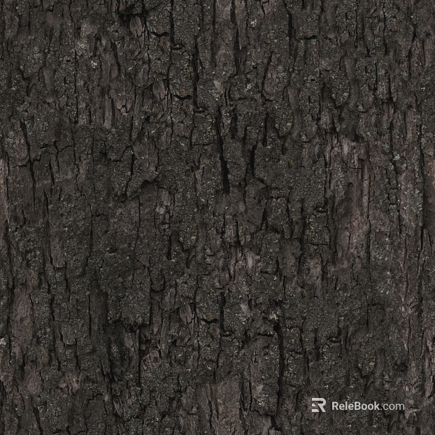 bark texture