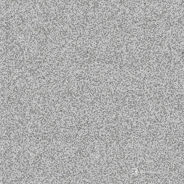 Light gray texture paint Wall paint texture