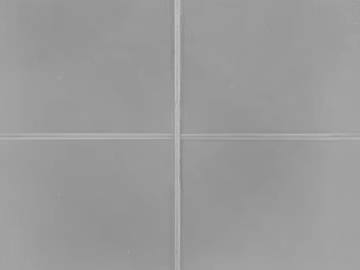Black and White Bump 3d model