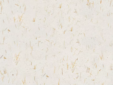 Mud texture (ID:ffabg95557)