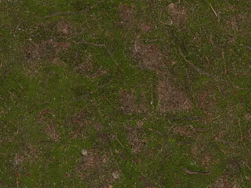 grassland soil wetland ground texture (ID:ffach097716)