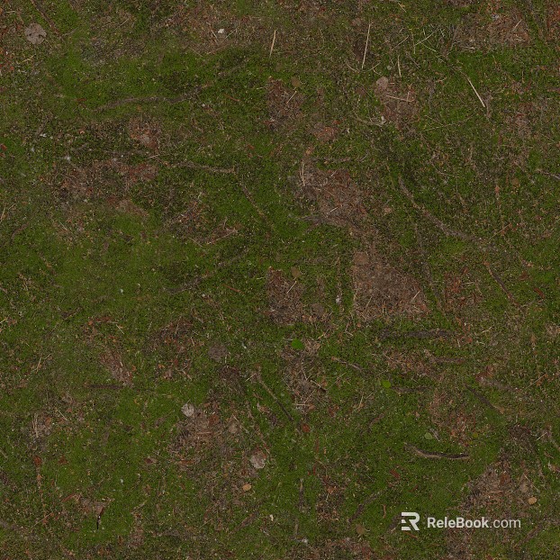 grassland soil wetland ground texture