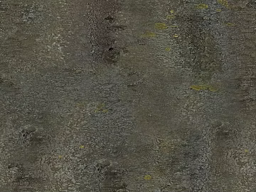 bark texture (ID:ffacg46795)