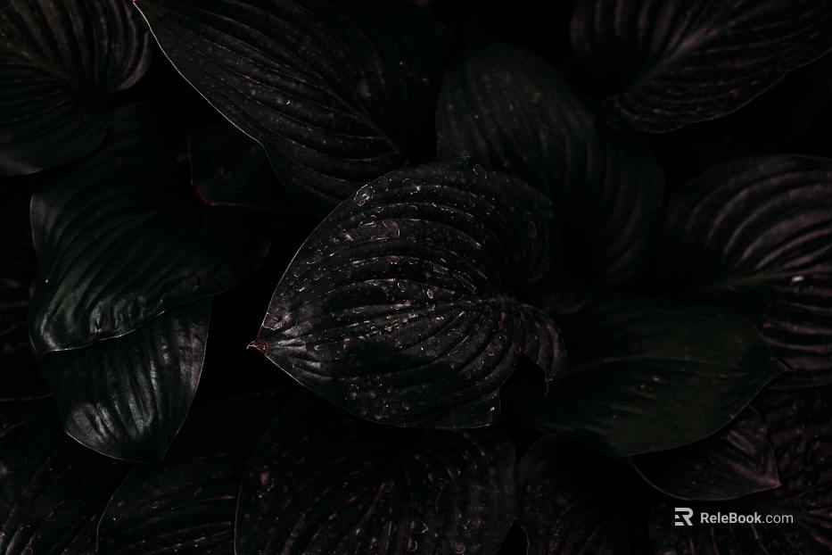 plant pattern texture