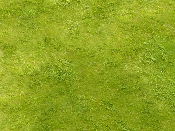 Turf texture (ID:ffagg82991)