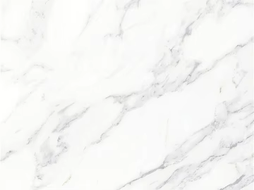 Mona Lisa marble belly white texture (ID:ffabg15450)