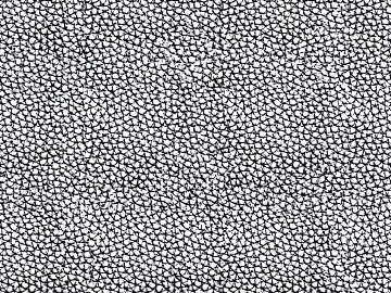 fine grain leather texture (ID:ffacg29170)