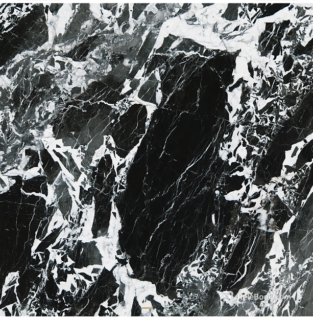Mesh Marble Bulgari Pearl Black Marble texture