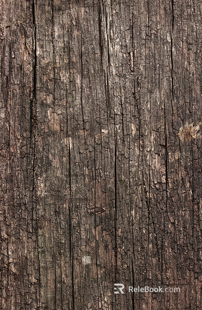 bark texture