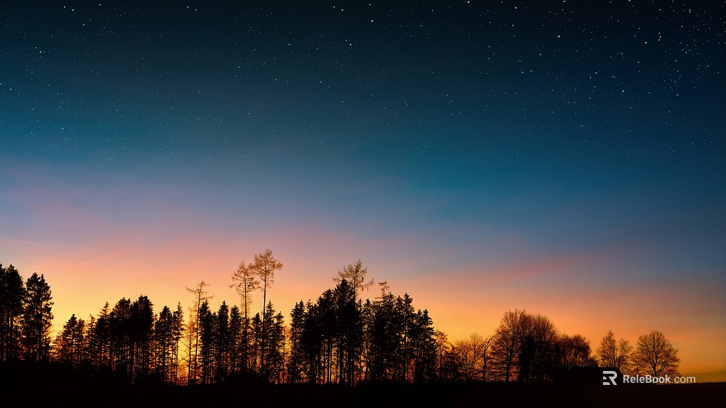 Forest starry night view texture