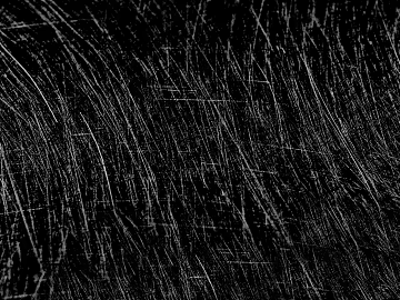 Black and White Bump 3d model