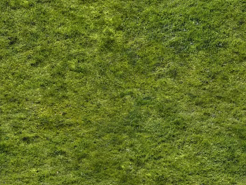 Turf 3d model