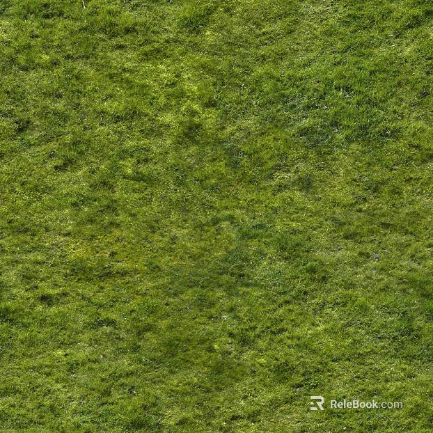Turf texture