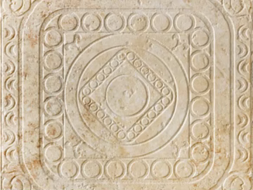 smallpox texture (ID:ffajg71216)