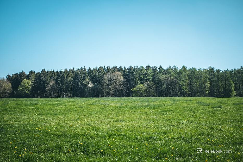 Wild Scenery texture