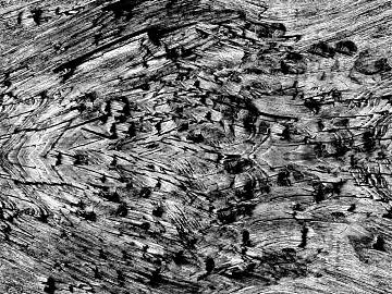 Black and White Bump texture (ID:ffabg63782)