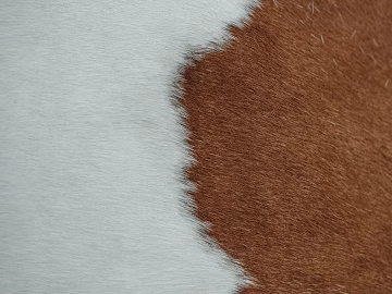 animal fur texture (ID:ffabg52317)