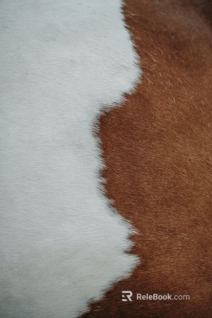 animal fur texture