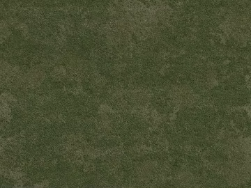 Turf texture (ID:ffhie397)