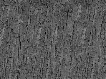 bark texture (ID:ffagg39557)