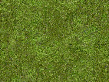 Turf texture (ID:ffaeg06496)