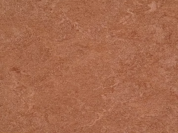 Mud texture (ID:ffabg66961)