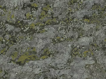 moss texture (ID:ffach700665)