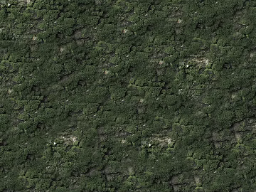 moss texture (ID:ffaag66666)