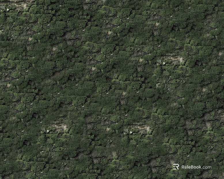 moss texture