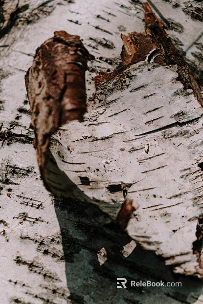 Wood grain texture
