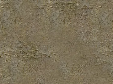 bark texture (ID:ffacg18907)