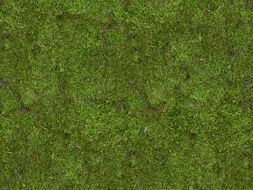 Turf texture (ID:ffach131736)