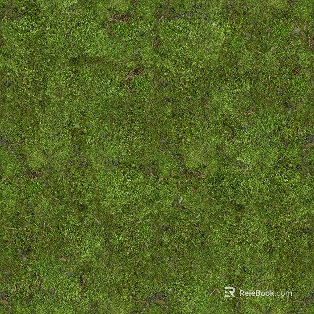 Turf texture