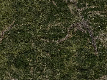 Grassland texture (ID:ffach293503)