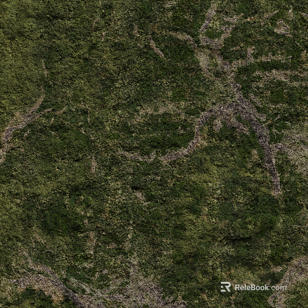 Grassland texture