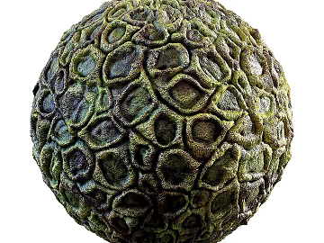 Biological Fur PBR texture (ID:ffach072994)