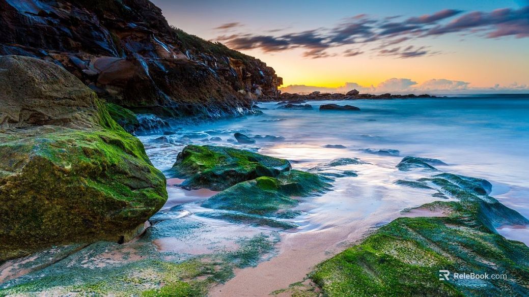 Wild Scenery texture