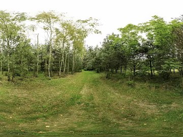 Outdoor HDR, lawn and trees HDR texture (ID:ffaeh881501)