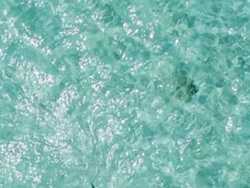 Blue water pattern swimming pool surface texture (ID:ffaeh890334)