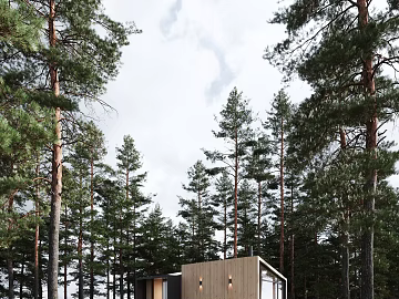 Residential Exterior texture (ID:ffacg99556)