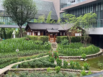 Courtyard texture (ID:ffajg95928)