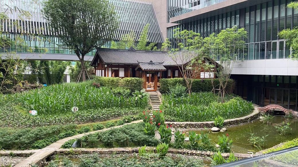 Courtyard texture