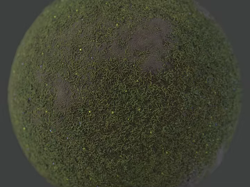 Grassland PBR texture (ID:ffach518181)