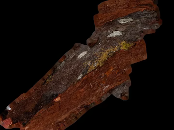 Red brown old bark decoration texture (ID:ffaeh888932)